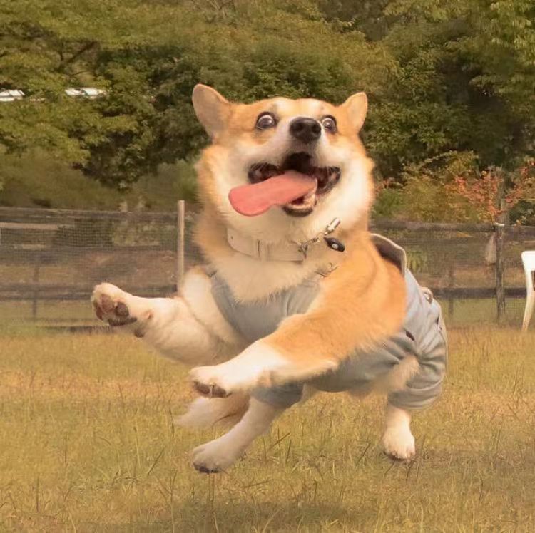 SSM 第一章